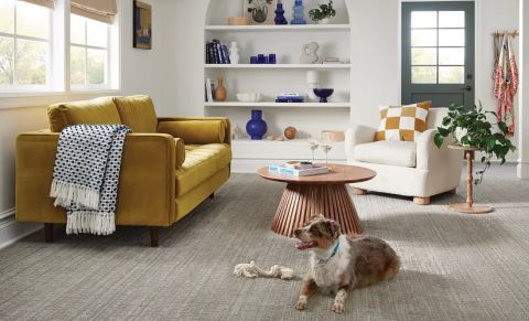 Image depicting the Service Carpet